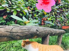 -锦里小吃街
