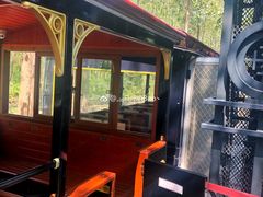 -合肥滨湖国家森林公园