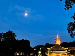 -浙江西子宾馆·牡丹厅