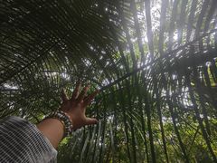 -七仙岭温泉国家森林公园