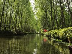 -合肥滨湖国家森林公园