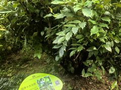 -广州神农草堂中医药博物馆