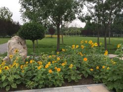 -大望京儿童游乐场