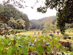 -韶山毛泽东同志故居