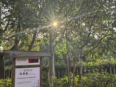 -张家港金凤凰度假村温泉
