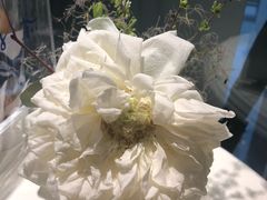 景观位-Kekimatata 生日蛋糕·烘焙教学