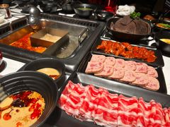 -鼎膳常火锅(华阳店)