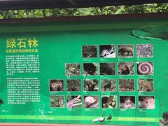 -中国科学院西双版纳热带植物园