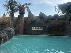 -东方威尼斯温泉酒店