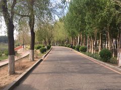 -丁香湖公园