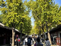 -鑫震源·苏式大虾生煎(山塘街店)