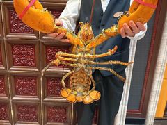 -浙里会