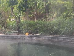 -凤翔首邑温泉度假村