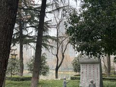 -木塔寺遗址生态公园