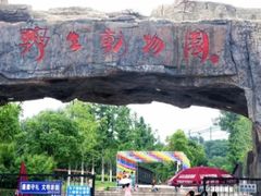 -合肥野生动物园