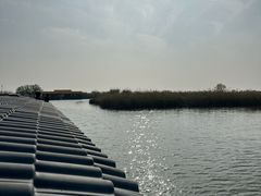 -宁波杭州湾国家湿地公园