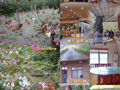 -兴隆槟榔园休闲农庄