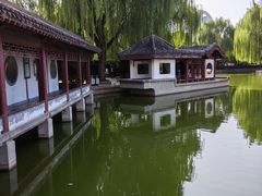 -团结湖公园