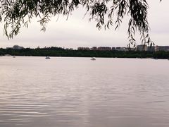 -长春市南湖公园