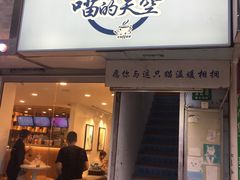 门面-喵的天空名猫咖啡馆·撸猫·猫舍·用品