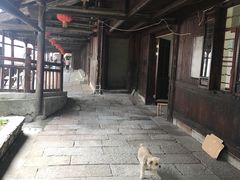 -丝绸小镇荻港古村