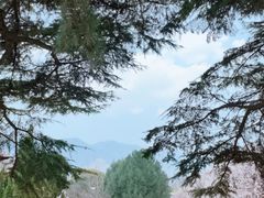 -秦始皇帝陵博物院(兵马俑)