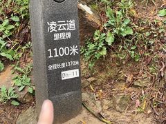 -梧桐山风景名胜区