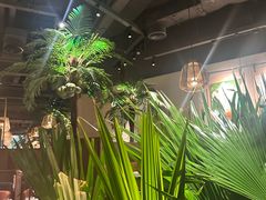 -大头椰·椰子鸡火锅(南宁万象城店)