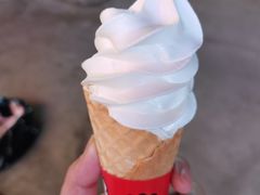 -蜜雪冰城(乐松店)