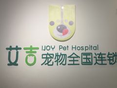 -艾吉宠物医院·疑难杂症转诊中心·猫友好(碧江路院)