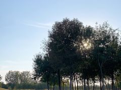 -东郊湿地公园