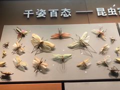 -天津自然博物馆