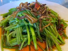 -尽善百年古院餐厅(王家老宅店)