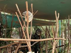 -可伦宾野生动物保护区