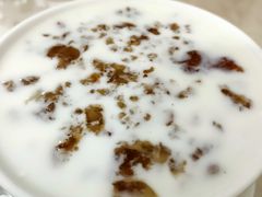 鲜奶桃胶-老周记顺德双皮奶