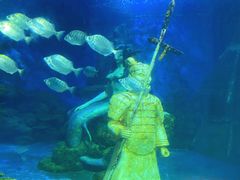 -太奥幻太奇海洋馆