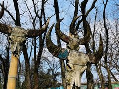 -善卷洞风景区