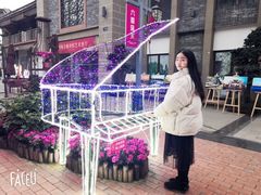 -新津老码头旅游小镇