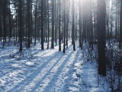 -北极村旅游风景区