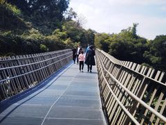 -福道