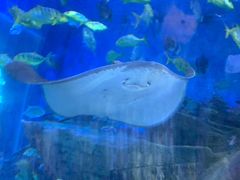 -华夏文旅海洋公园