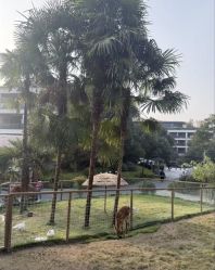 -尚圣月子会所·庄园式月子中心(萧山湘湖店)