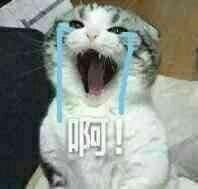 -厝内小眷村(天河南一路店)