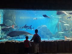 -多彩贵州城极地海洋世界