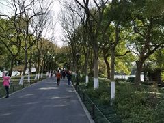 -苏堤停车场