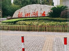 -南翔镇银翔湖公园
