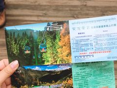 -黄龙山原始森林景区