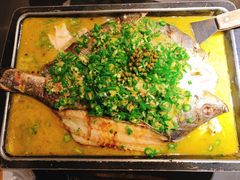 海鲈鱼-炉鱼(西溪银泰城店)