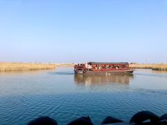 -宁波杭州湾国家湿地公园