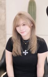 -YESIDO椰岛造型
